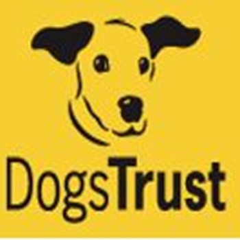 Year 7 Dogs’ Trust Assembly